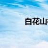 白花山桃（关于白花山桃介绍）