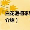 白花泡桐家系10号（关于白花泡桐家系10号介绍）