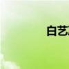 白艺凌（关于白艺凌介绍）