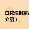 白花泡桐家系15号（关于白花泡桐家系15号介绍）