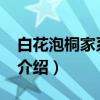 白花泡桐家系20号（关于白花泡桐家系20号介绍）