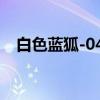 白色蓝狐-044（关于白色蓝狐-044介绍）