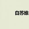 白苏维翁（关于白苏维翁介绍）