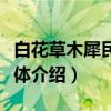 白花草木犀民勤群体（关于白花草木犀民勤群体介绍）