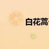 白花蒿子（关于白花蒿子介绍）
