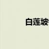 白莲坡镇（关于白莲坡镇介绍）