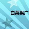 白莱果广场（关于白莱果广场介绍）
