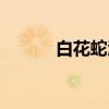 白花蛇酒（关于白花蛇酒介绍）