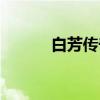 白芳传奇（关于白芳传奇介绍）