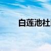白莲池社区（关于白莲池社区介绍）