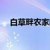 白草畔农家院（关于白草畔农家院介绍）