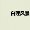 白莲风景区（关于白莲风景区介绍）