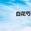 白花芍药（关于白花芍药介绍）