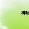 神界2（关于神界2介绍）