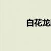 白花龙胆（关于白花龙胆介绍）