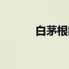 白茅根散（关于白茅根散介绍）