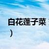 白花蓬子菜 变种（关于白花蓬子菜 变种介绍）