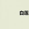 白莲泾（关于白莲泾介绍）