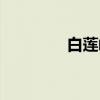 白莲峪（关于白莲峪介绍）
