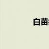 白苗病(关于白苗病介绍) 白苗病(关于白苗病介绍)