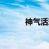 神气活现（关于神气活现介绍）