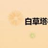 白草塔村（关于白草塔村介绍）