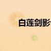 白莲剑影记（关于白莲剑影记介绍）