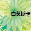 白莫斯卡托（关于白莫斯卡托介绍）