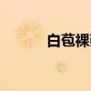 白苞裸蒴（关于白苞裸蒴介绍）