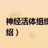 神经活体组织检查（关于神经活体组织检查介绍）