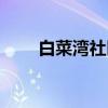 白菜湾社区（关于白菜湾社区介绍）