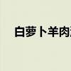 白萝卜羊肉汤（关于白萝卜羊肉汤介绍）