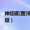 神经磁[图]描记术（关于神经磁[图]描记术介绍）