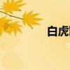 白虎凯（关于白虎凯介绍）