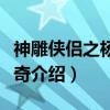 神雕侠侣之杨过传奇（关于神雕侠侣之杨过传奇介绍）