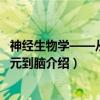 神经生物学——从神经元到脑（关于神经生物学——从神经元到脑介绍）