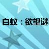 白蚁：欲望谜网（关于白蚁：欲望谜网介绍）