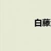 白藤湖（关于白藤湖介绍）