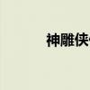 神雕侠侣（关于神雕侠侣介绍）