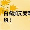 白虎加元麦青萍汤（关于白虎加元麦青萍汤介绍）