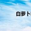 白萝卜叶（关于白萝卜叶介绍）