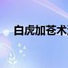 白虎加苍术汤(关于白虎加苍术汤介绍) 白虎加苍术汤(关于白虎加苍术汤介绍)