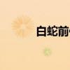 白蛇前传（关于白蛇前传介绍）
