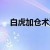 白虎加仓术汤（关于白虎加仓术汤介绍）