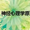神经心理学原理（关于神经心理学原理介绍）