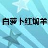 白萝卜红焖羊肉（关于白萝卜红焖羊肉介绍）