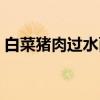 白菜猪肉过水面（关于白菜猪肉过水面介绍）