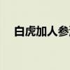白虎加人参汤（关于白虎加人参汤介绍）