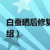 白蚕晒后修复精华（关于白蚕晒后修复精华介绍）