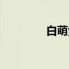 白萌堂（关于白萌堂介绍）